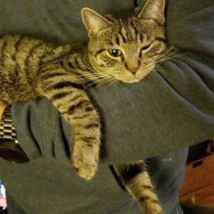 Meet your Posher, Jenifer